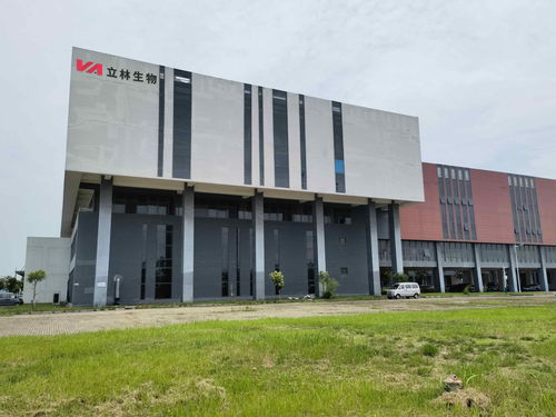 雙品牌戰(zhàn)略驅(qū)動，雙廠布局夯實根基 蓋夫內(nèi)外貿(mào)并舉，技術(shù)開發(fā)引領(lǐng)全球化新篇章